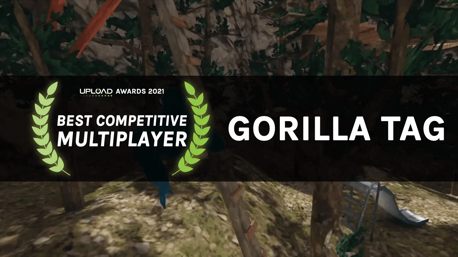 Gorilla Tag award